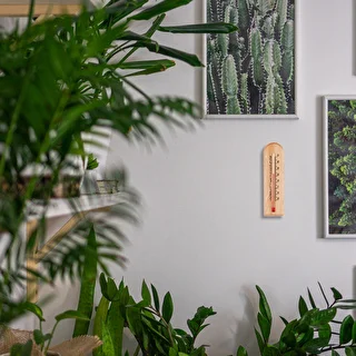 Termometro da interno con decoro (-20°C a +50°C) 15 cm – photo 6
