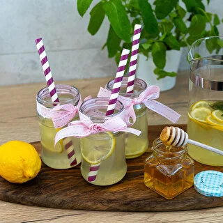 Vasetto TO 300 ml Ø 66 - confezione termoretratta 12 pz. – photo 8