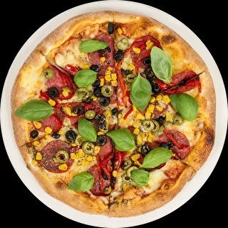 Pietra refrattaria per pizza rotonda in cordierite, diametro 33 cm – photo 3