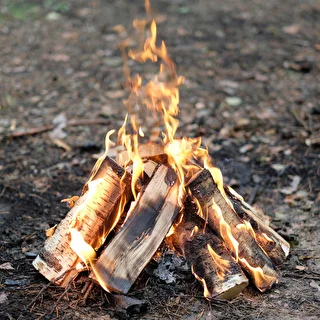 Combustibile in gel per bruciatori dell'affumicatore 1 L – photo 9