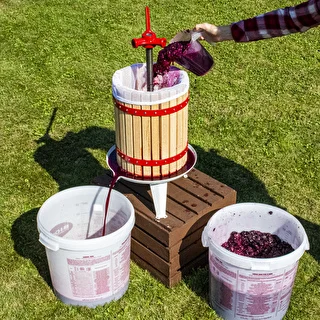 Fermentatore con coperchio da 30 L – photo 16