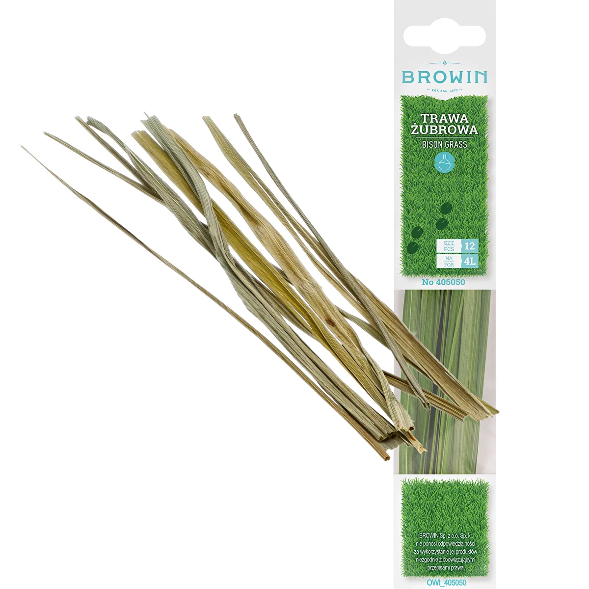 Erba del bisonte - Hierochloe odorata 12 steli / 4 L
