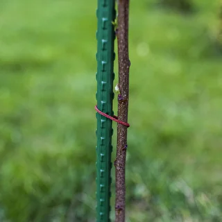 Tutori da giardino Bioogród – in acciaio rivestito, 0,75 m, Ø 8 mm, 10 pz. – photo 6