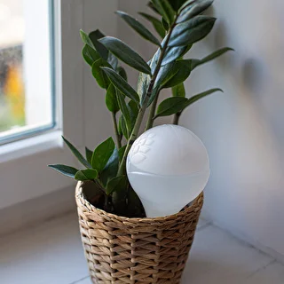 Sfera autoirrigante per piante, bianca opaca con punta in ceramica, 400 ml – photo 11