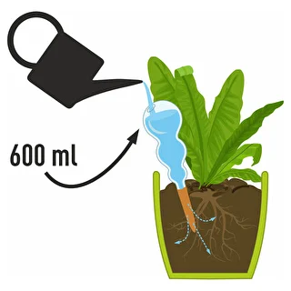Sfera autoirrigante tripla (a tre camere), trasparente incolore, con puntale in ceramica, 600 ml – photo 4