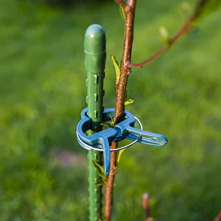 Clip per fissare le piante 20 pz (8 grandi/12 piccoli) – photo 9