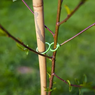 Clip in plastica per legare le piante, mix 50 pezzi – photo 6