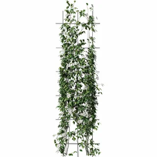 Supporto per piante - graticcio (150 cm x 45 cm) 3 pezzi – photo 3
