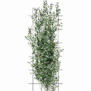 Supporto per piante - graticcio (150cm x 60cm) - 3 pezzi – photo 3