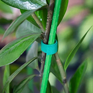 Nastro da giardinaggio a strappo, verde, 15 mm x 5 m – photo 4