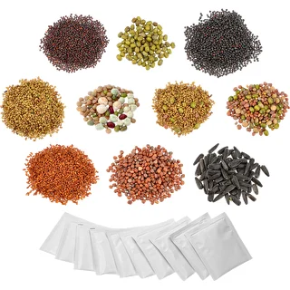Kit di semi per germogli - 10 confezioni