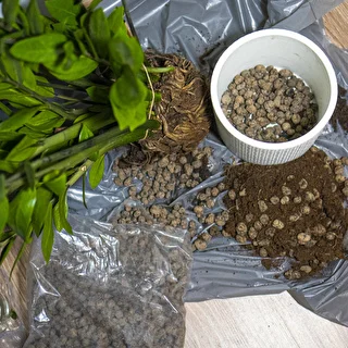 Argilla espansa per piante in vaso, giardinaggio e terrari in vetro 10–20 mm, 4 L – photo 10