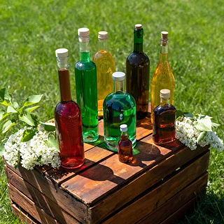 Bottiglia per vino 0,75 L verde - confezione da 8 pezzi – photo 8