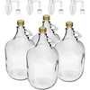 4 x Dama 5L con tappo e tubo di fermentazione e chiusura - 3 