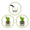 Argilla espansa per piante in vaso, giardinaggio e foreste in vetro, 4-10 mm, 1L - 12 