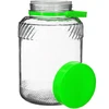 Barattolo 5 L con pinze - coperchio verde - 3 