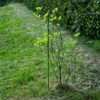 Bastone in acciaio rivestito in PE 1,5 m x 11 mm - 6 