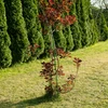 Bastone in acciaio rivestito in PE 1,75 m x 11 mm - 5 