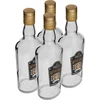 Bottiglia 0,5 L con tappo e stampa a 2 colori Whisky - 4 pezzi - 2 