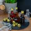 Bottiglia Galonik 40ml con tappo - 10 pezzi - 5 