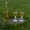 Bottiglia per liquore 100 ml 6 pz + 6 tappi - 11 