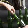 Bottiglia per vino 0,75L con tappi e capsule - 12 pz. - 8 