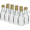 Butelka Galonik 40ml z zak., 10szt. - 4 Galonik, butelka galonik, butelka na alkohol, butelka na nalewke, piersiówka butelka na nalewkę