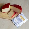 Colture batteriche per formaggio gouda - 2 