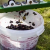 Contenitore di fermentazione 30 L con coperchio e rubinetto - 17 