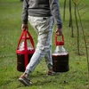 Damigiana per vino leggera, infrangibile, con cinghie, 20 L - 12 