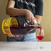 Enovini® OK RED - lieviti per vino che riducono l'acidità 7 g - 10 