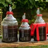Enovini® OK RED - lieviti per vino che riducono l'acidità 7 g - 8 