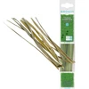 Erba di bisonte - Hierochloe odorata 12 pz. / 4 L  - 1 