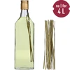 Erba di bisonte - Hierochloe odorata 12 pz. / 4 L - 3 