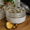 Essiccatore per funghi, frutta, verdure e erbe aromatiche 125 W - 10 