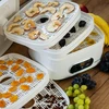 Essiccatore per funghi, frutta, verdure e erbe con regolazione della temperatura, 240W, bianco - 19 
