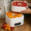 Essiccatore per funghi, frutta, verdure e erbe con regolazione della temperatura, 240W, bianco - 20 