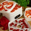 Essiccatore per funghi, frutta, verdure e erbe con regolazione della temperatura, 240W, bianco - 21 