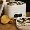 Essiccatore per funghi, frutta, verdure e erbe con regolazione della temperatura, 240W, bianco - 17 