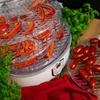 Essiccatore per funghi, frutta, verdure e erbe con regolazione della temperatura, 240W, trasparente - 16 