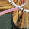 Estrattore di succo inossidabile 8 L - 14 