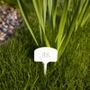 Etichette per descrivere piante + matita mix 10+20 pz. - 6 