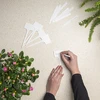 Etichette per descrivere piante + matita mix 10+20 pz. - 5 