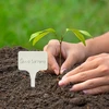 Etichette per descrivere piante + matita mix 10+20 pz. - 10 