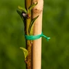 Filo da giardino piatto, rivestito in PVC 50m x 2mm - 2 