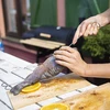 Ganci per affumicatoio - per pesce - avvitabili - 5 pezzi - 3 
