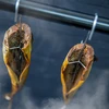 Ganci per affumicatura del pesce - tripli, 5 pezzi - 4 