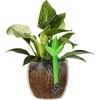 Irrigatore per piante – foglia verde, 120 ml - 5 