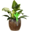 Irrigatore per piante – foglia verde con piedino in ceramica, 120 ml - 6 