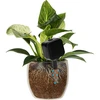 Irrigatore per piante – lavagna nera con piedino in ceramica, 200 ml - 6 